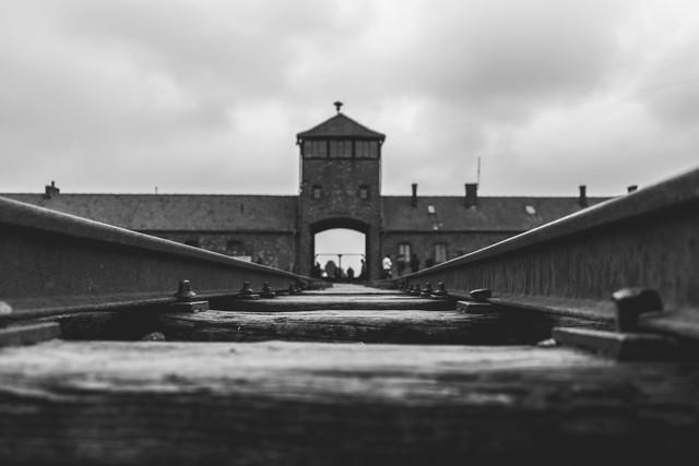 The train tracks leading to Auschwitz.